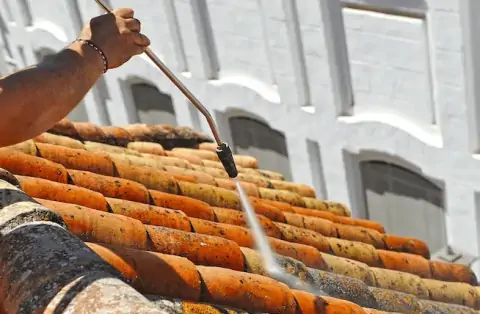 Nettoyage de toitures - Estang